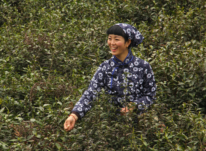 侦探游戏